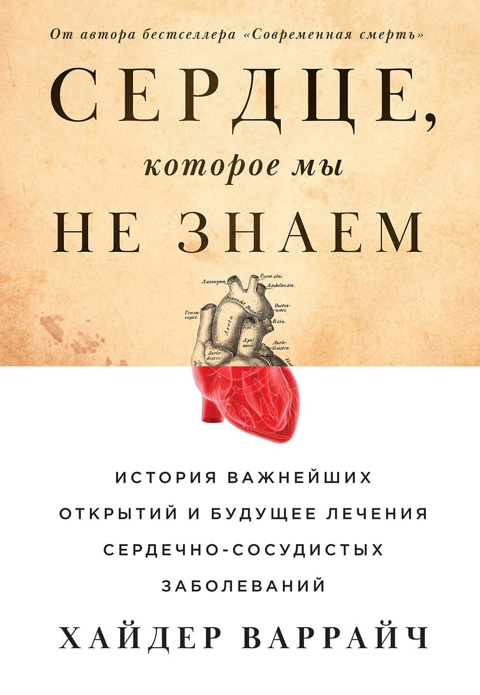 Сердце, которое мы не знаем
